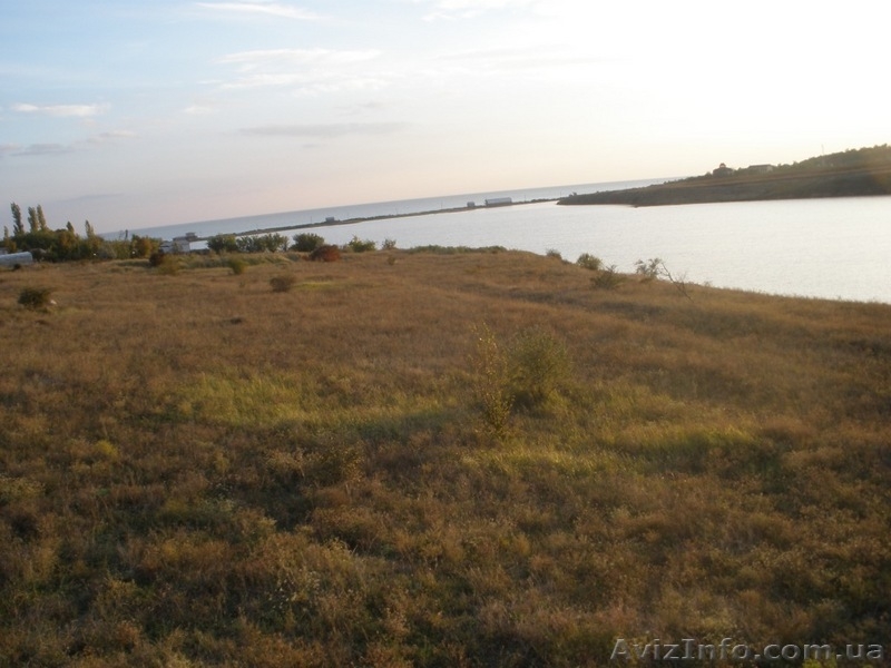 Коблево/Луговое Общая площадь: 3 гектар - <ro>Изображение</ro><ru>Изображение</ru> #4, <ru>Объявление</ru> #106476