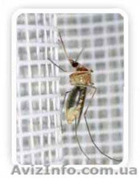  металопластиковые окна ремонт - <ro>Изображение</ro><ru>Изображение</ru> #3, <ru>Объявление</ru> #142723