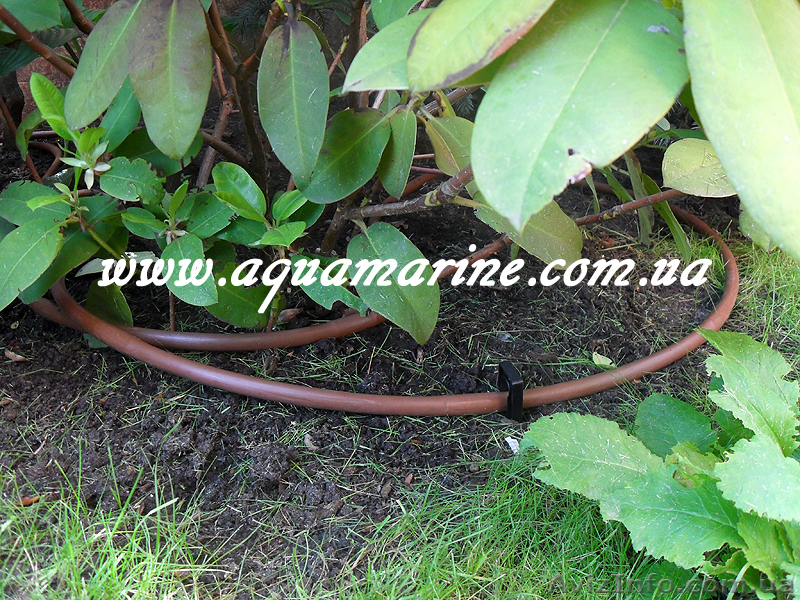 Системы полива в Одессе. Автополив в Одессе. - <ro>Изображение</ro><ru>Изображение</ru> #3, <ru>Объявление</ru> #181551