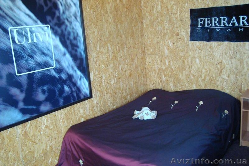 Сдам дом на берегу моря - <ro>Изображение</ro><ru>Изображение</ru> #4, <ru>Объявление</ru> #239540