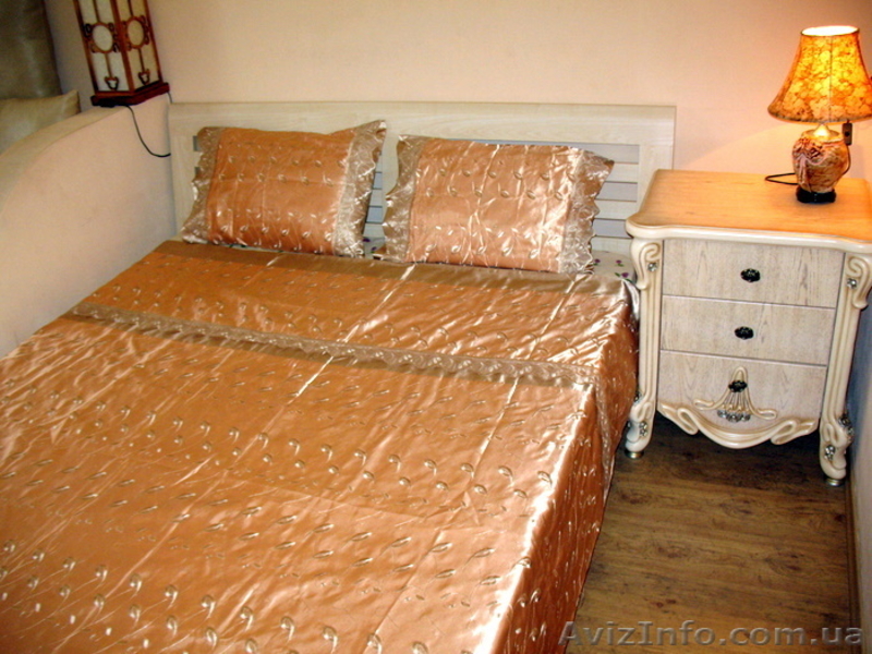 Посуточная аренда апартаментов возле моря!  - <ro>Изображение</ro><ru>Изображение</ru> #10, <ru>Объявление</ru> #222793