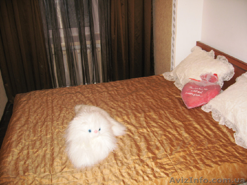 Сдам 2 к квартиру посуточно в  Центре Одессы - <ro>Изображение</ro><ru>Изображение</ru> #4, <ru>Объявление</ru> #259458