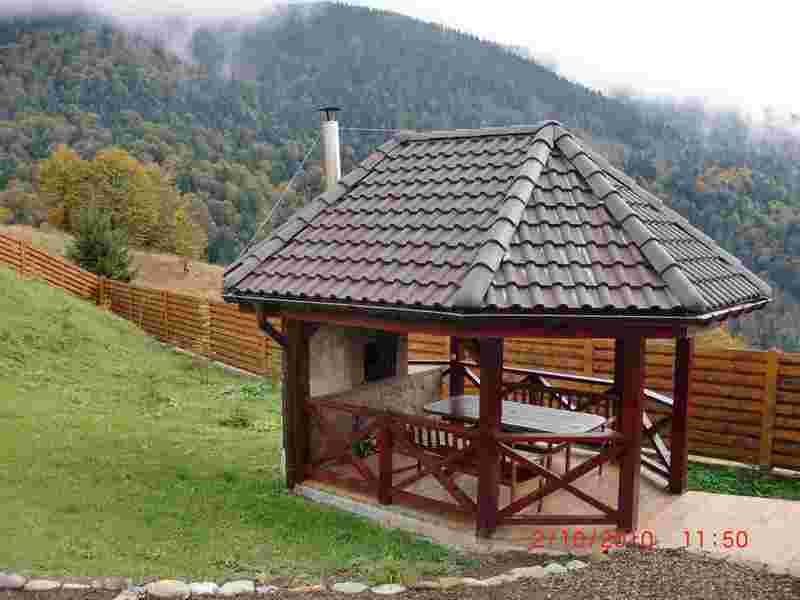 Отдых  в Карпатах на Синевирском перевале - <ro>Изображение</ro><ru>Изображение</ru> #8, <ru>Объявление</ru> #275742