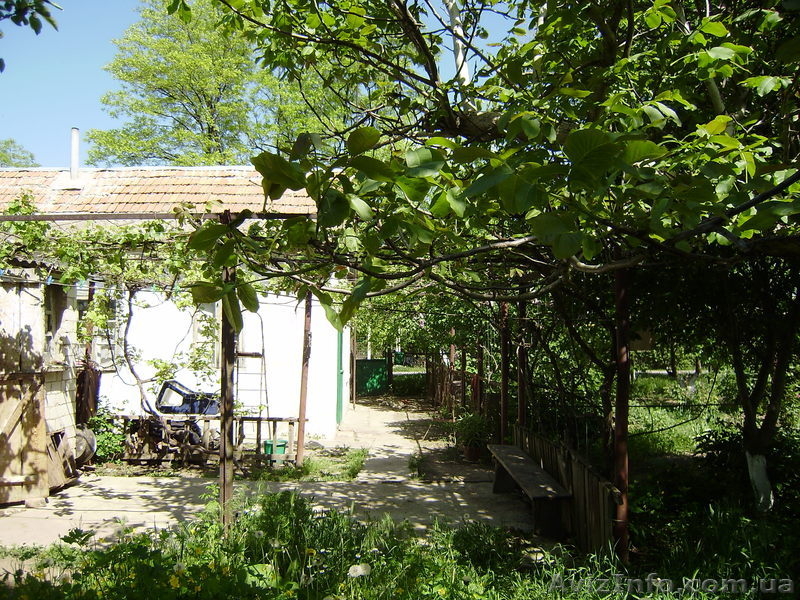 Продам дом или пол дома (старой постройки). - <ro>Изображение</ro><ru>Изображение</ru> #1, <ru>Объявление</ru> #304091