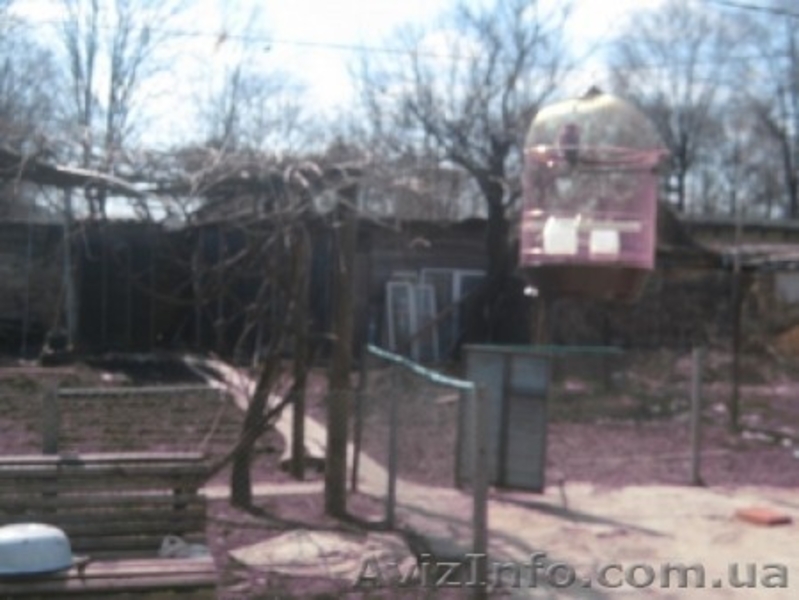 Продам крепкий дом на ул.Дм.Донского.  - <ro>Изображение</ro><ru>Изображение</ru> #3, <ru>Объявление</ru> #285298