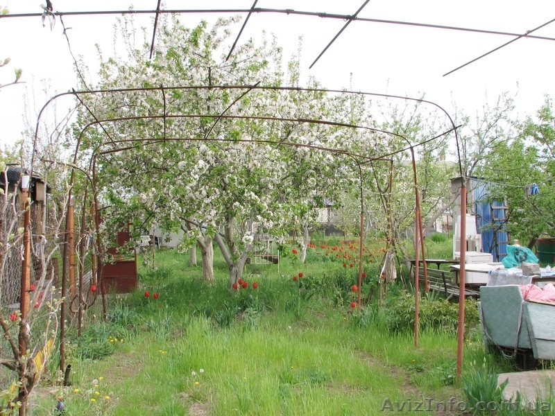 Дача 18 соток с каменным домом, Коминтерновский р-н, Тилигульский лиман - <ro>Изображение</ro><ru>Изображение</ru> #3, <ru>Объявление</ru> #280549