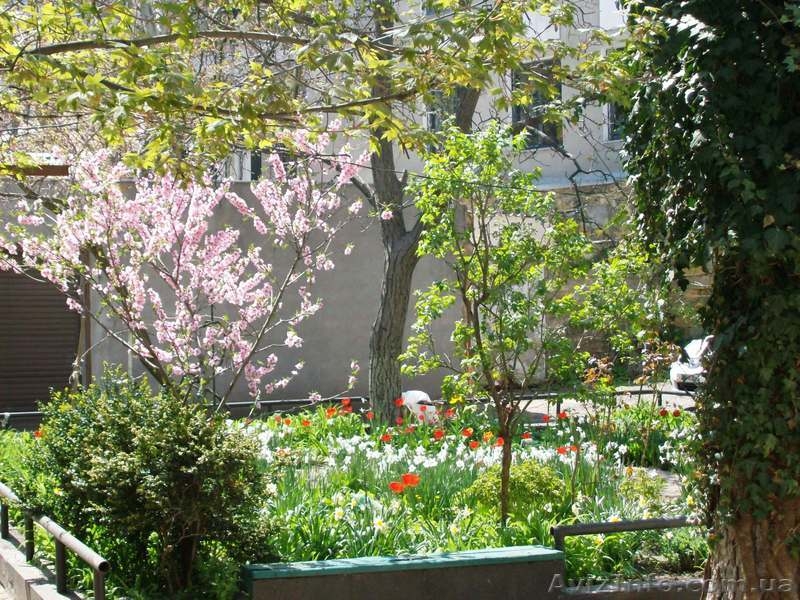 особнячок - кв-ра : в центре и 500 м до моря : Ясная / Уютная, Французский б-р - <ro>Изображение</ro><ru>Изображение</ru> #3, <ru>Объявление</ru> #304569