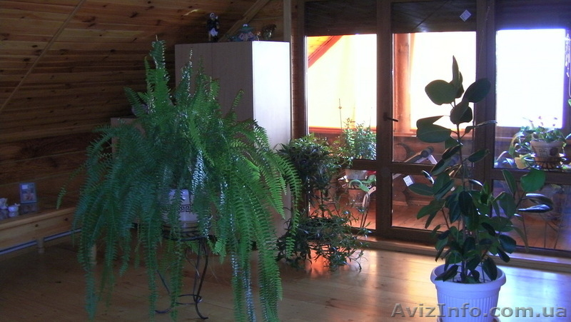 Чудесный домик, около лимана. - <ro>Изображение</ro><ru>Изображение</ru> #8, <ru>Объявление</ru> #374895