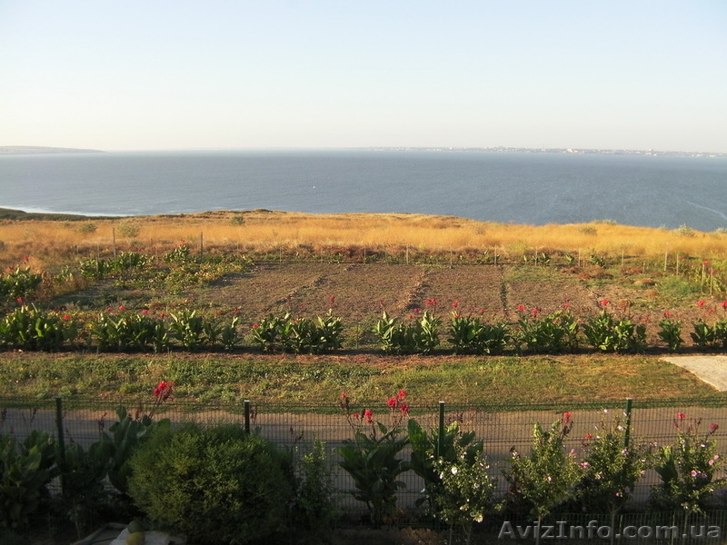 Чудесный домик, около лимана. - <ro>Изображение</ro><ru>Изображение</ru> #10, <ru>Объявление</ru> #374895