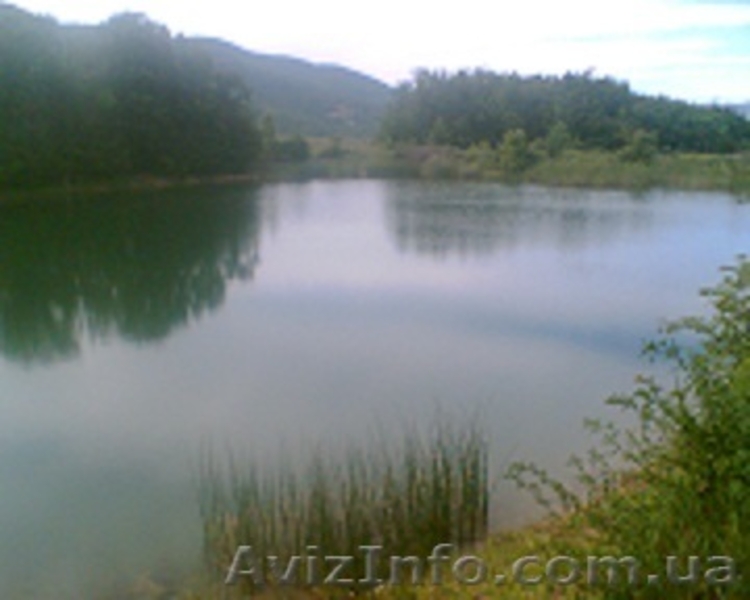 Крым, земля в горном Крыму  - <ro>Изображение</ro><ru>Изображение</ru> #7, <ru>Объявление</ru> #377424