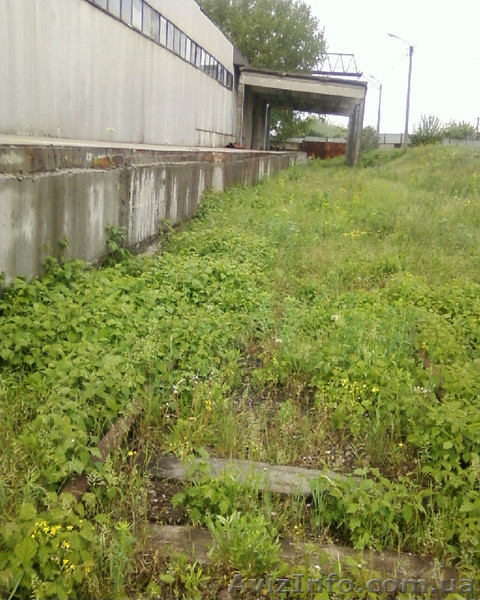 Продам таможенные склады - <ro>Изображение</ro><ru>Изображение</ru> #5, <ru>Объявление</ru> #395231