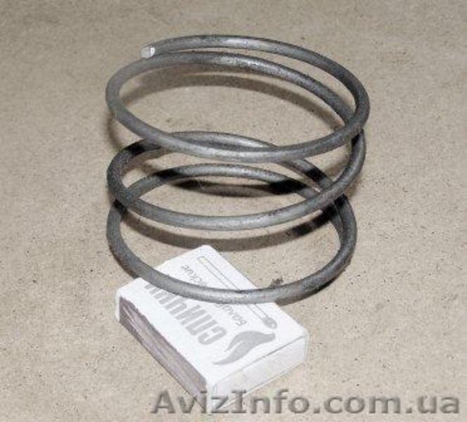 Пружины фекальных насосов. Пружины гидронасосов. Пружины молочных насосов. - <ro>Изображение</ro><ru>Изображение</ru> #6, <ru>Объявление</ru> #372982