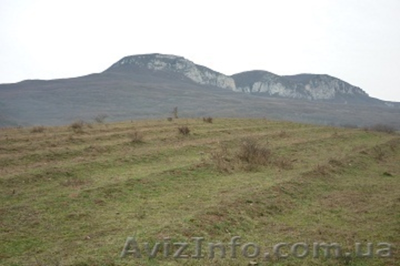 Крым, земля в горном Крыму  - <ro>Изображение</ro><ru>Изображение</ru> #6, <ru>Объявление</ru> #377424