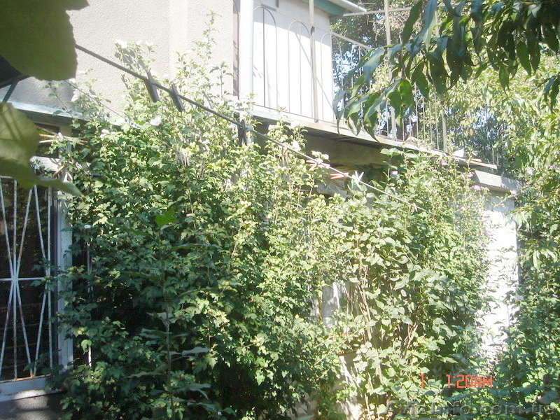 Продам дачу в районе 411-й батареи - <ro>Изображение</ro><ru>Изображение</ru> #3, <ru>Объявление</ru> #412256