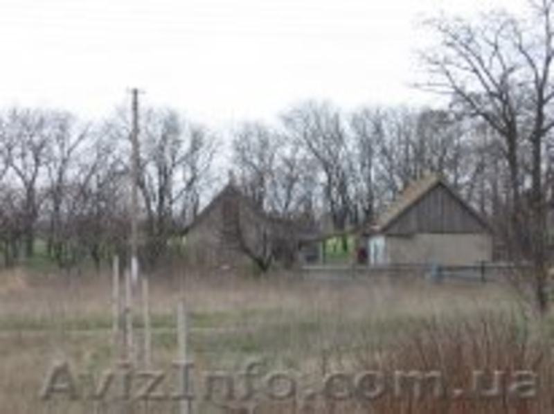 Продам дачу в Овидиопольском  районе   - <ro>Изображение</ro><ru>Изображение</ru> #5, <ru>Объявление</ru> #407507