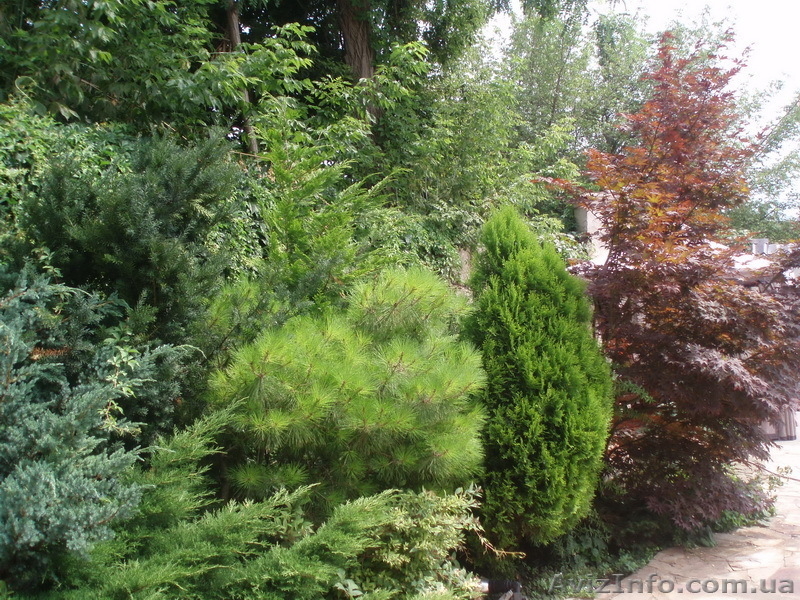 Продам 2-х этажный дом на 12 ст.Б.Фонтана - <ro>Изображение</ro><ru>Изображение</ru> #5, <ru>Объявление</ru> #412938