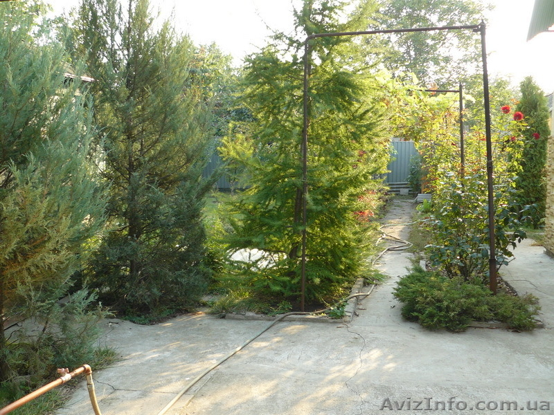 Продам участок правильной формы на ул.Авдеева-Черноморского - <ro>Изображение</ro><ru>Изображение</ru> #3, <ru>Объявление</ru> #402735