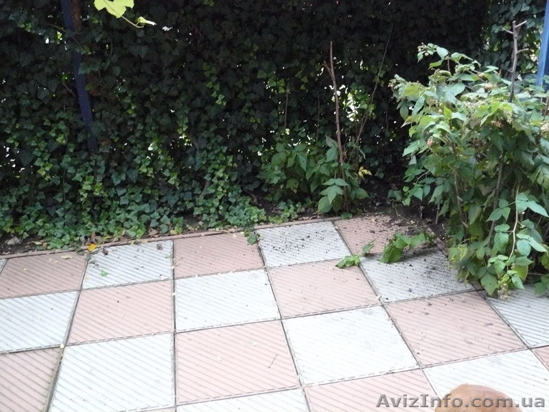 Продам квартиру в Бисквитном переулке - <ro>Изображение</ro><ru>Изображение</ru> #9, <ru>Объявление</ru> #407858