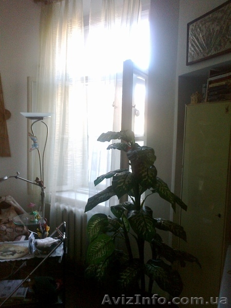 Комната в коммуне в Центре Одессы - <ro>Изображение</ro><ru>Изображение</ru> #3, <ru>Объявление</ru> #427303