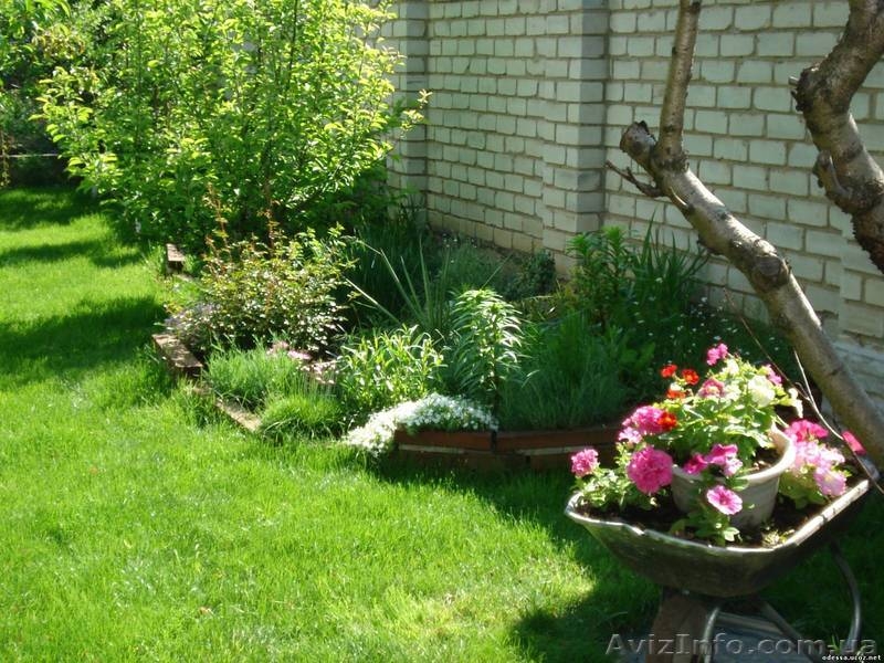 Сдам апартаменты в мини-отеле "Южный Дворик" - <ro>Изображение</ro><ru>Изображение</ru> #8, <ru>Объявление</ru> #521925