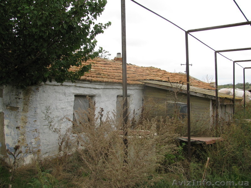 Продам старый дом с.Мариновка - <ro>Изображение</ro><ru>Изображение</ru> #3, <ru>Объявление</ru> #556615
