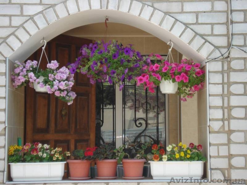 Сдам апартаменты в мини-отеле "Южный Дворик" - <ro>Изображение</ro><ru>Изображение</ru> #10, <ru>Объявление</ru> #521925