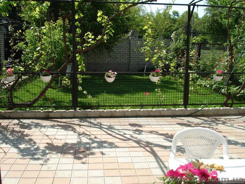 Сдам апартаменты в мини-отеле "Южный Дворик" - <ro>Изображение</ro><ru>Изображение</ru> #9, <ru>Объявление</ru> #521925