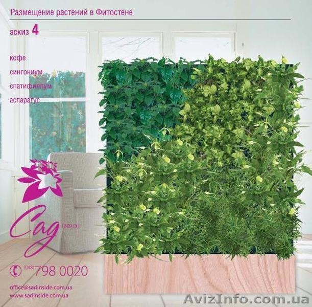 вертикальное озеленение интерьера "СадИнсайд" - <ro>Изображение</ro><ru>Изображение</ru> #3, <ru>Объявление</ru> #603383