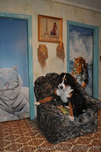 Продам 4-х комнатную квартиру по ул. Гайдара / пер. Вишневского. - <ro>Изображение</ro><ru>Изображение</ru> #3, <ru>Объявление</ru> #589355