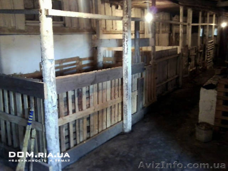 ФЕРМА С ЖИВОТНЫМИ ДОМ 500КВ, БИЗНЕС - <ro>Изображение</ro><ru>Изображение</ru> #4, <ru>Объявление</ru> #586361