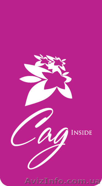 вертикальное озеленение интерьера "СадИнсайд" - <ro>Изображение</ro><ru>Изображение</ru> #5, <ru>Объявление</ru> #603383