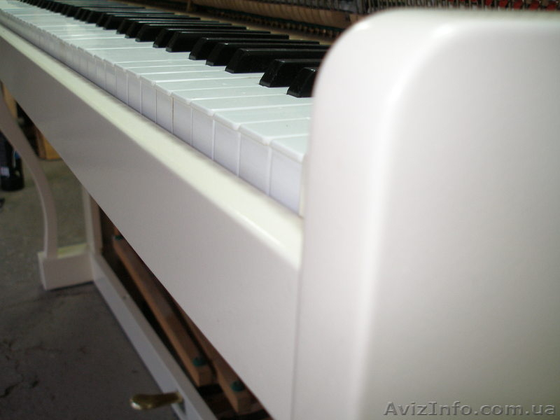 Настройка пианино,рояля,аккордеонов,баянов  - <ro>Изображение</ro><ru>Изображение</ru> #3, <ru>Объявление</ru> #562088