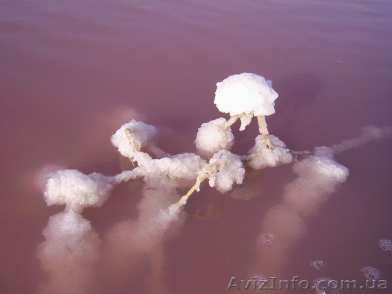 Соль Морская Розовая Крыма - <ro>Изображение</ro><ru>Изображение</ru> #7, <ru>Объявление</ru> #564476