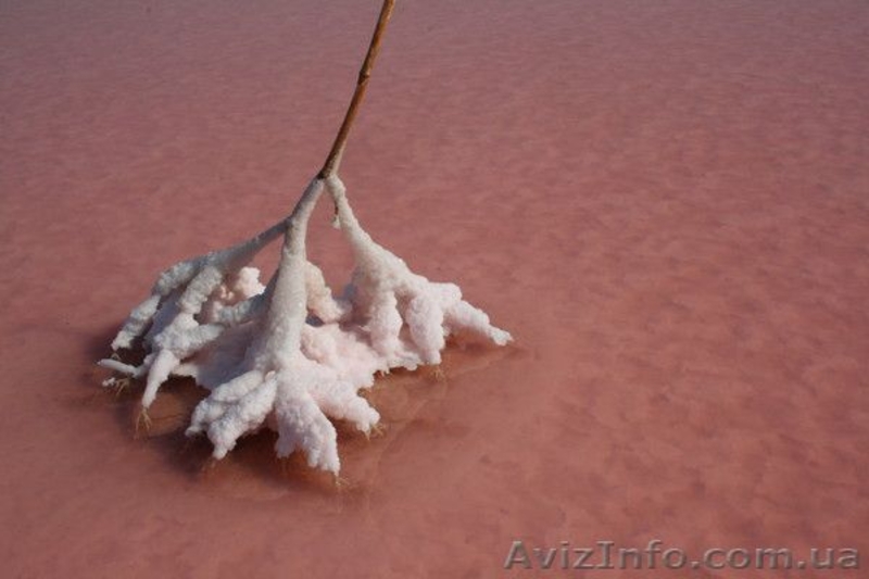 Соль Морская Розовая Крыма - <ro>Изображение</ro><ru>Изображение</ru> #8, <ru>Объявление</ru> #564476