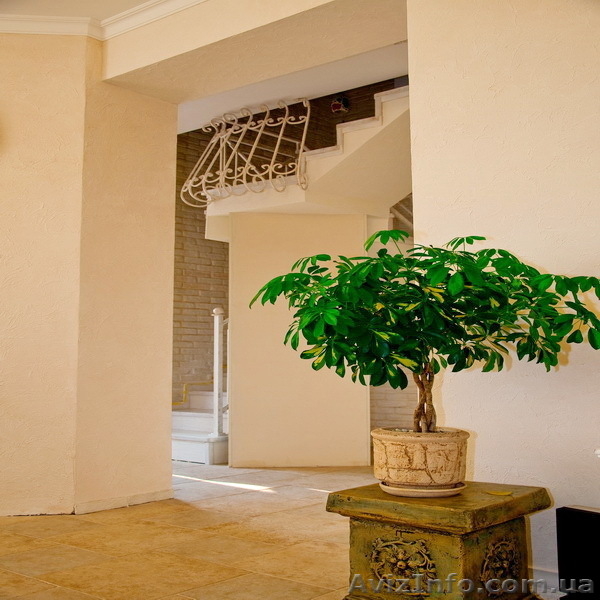 Современный дом в р-не 7 ст.Б.Фонтана/Дм.Донского - <ro>Изображение</ro><ru>Изображение</ru> #7, <ru>Объявление</ru> #641074