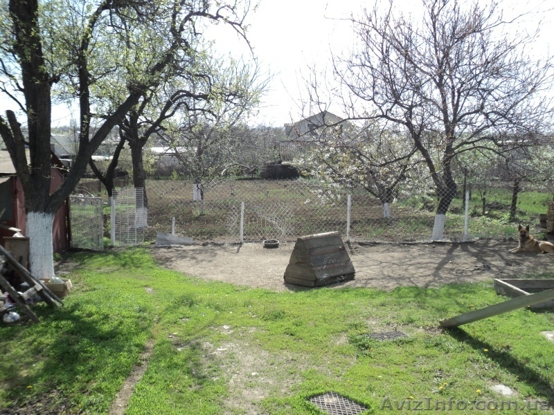 Продам дом в центре села Красноселка - <ro>Изображение</ro><ru>Изображение</ru> #10, <ru>Объявление</ru> #636448