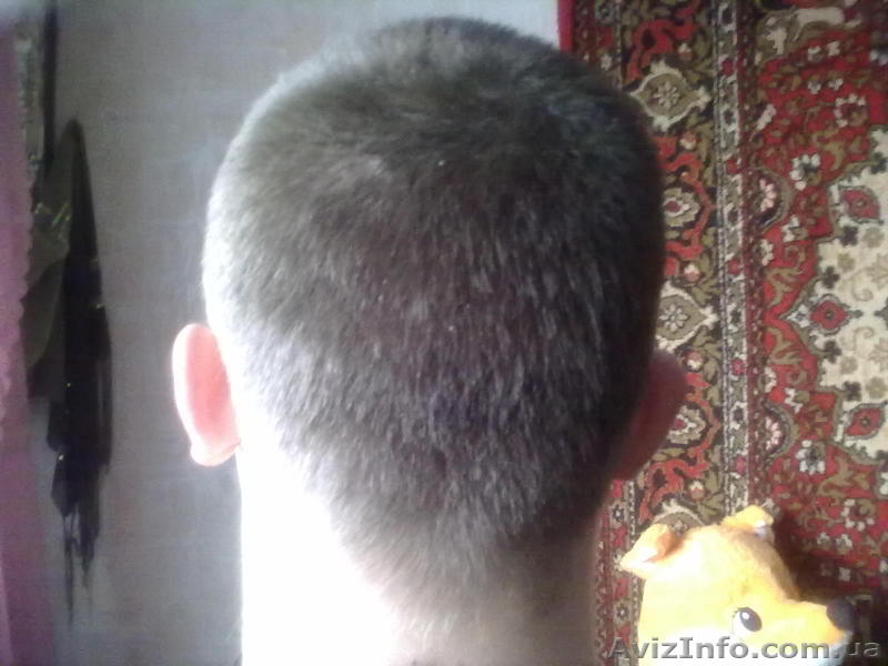 Мужские и женские стрижки Черемушки - <ro>Изображение</ro><ru>Изображение</ru> #7, <ru>Объявление</ru> #585290