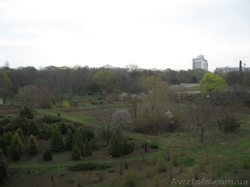 Дом Бизнес-класса, 1 ком. квартира, пр. Шевченко - <ro>Изображение</ro><ru>Изображение</ru> #8, <ru>Объявление</ru> #640733