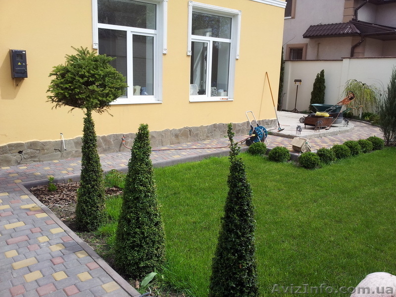 Современный дом в р-не 7 ст.Б.Фонтана/Дм.Донского - <ro>Изображение</ro><ru>Изображение</ru> #9, <ru>Объявление</ru> #641074