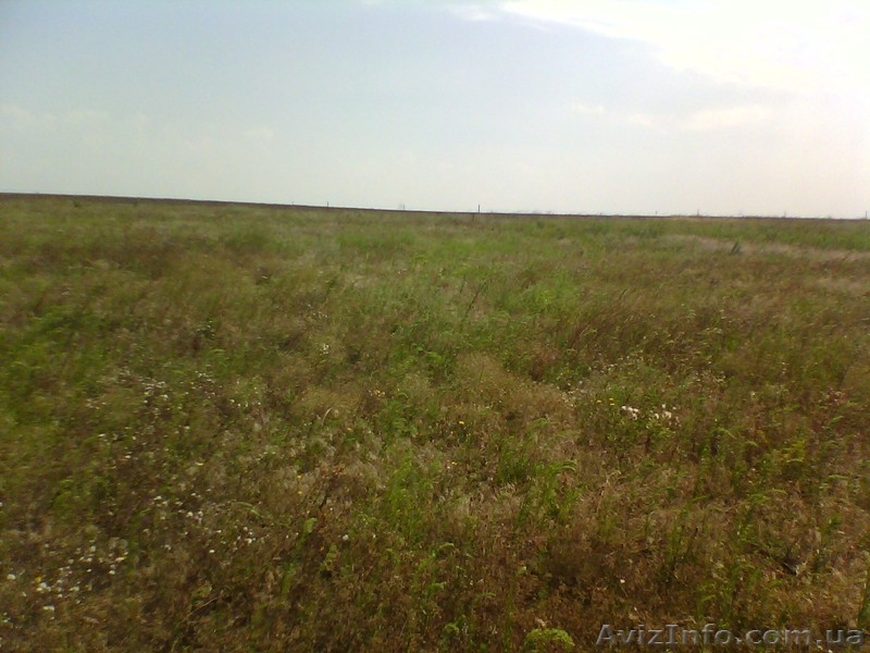 Сдам участок с. Дальник 24сотки под посев или отдых - <ro>Изображение</ro><ru>Изображение</ru> #3, <ru>Объявление</ru> #618862