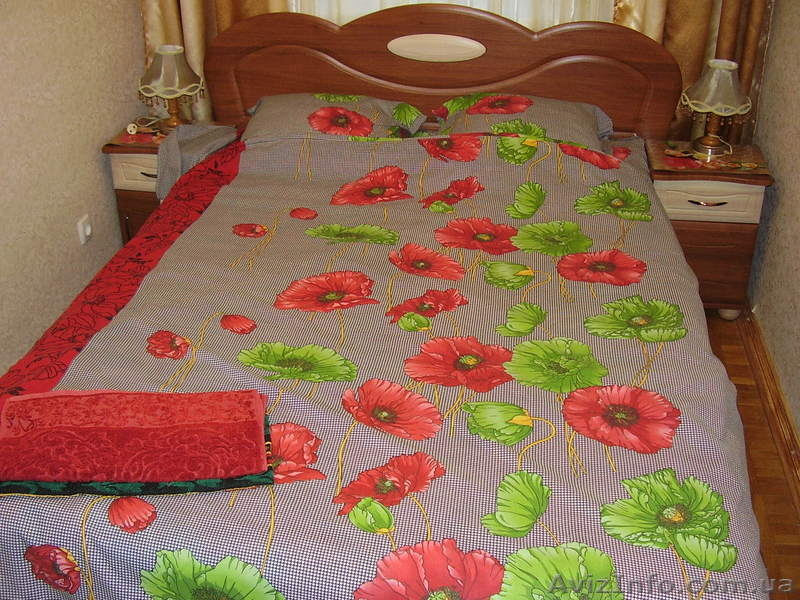 Сдам 2-х ком. кв.,разд .посут,помесячно Сегедская - <ro>Изображение</ro><ru>Изображение</ru> #7, <ru>Объявление</ru> #580500