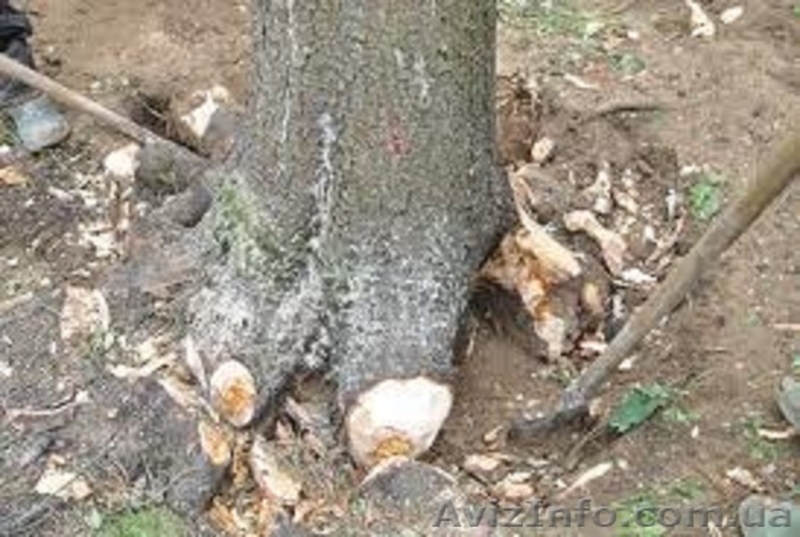 Земляные работы любой сложности, ручная копка. Фундамент, ямы, траншеи… Демонтаж - <ro>Изображение</ro><ru>Изображение</ru> #3, <ru>Объявление</ru> #662222