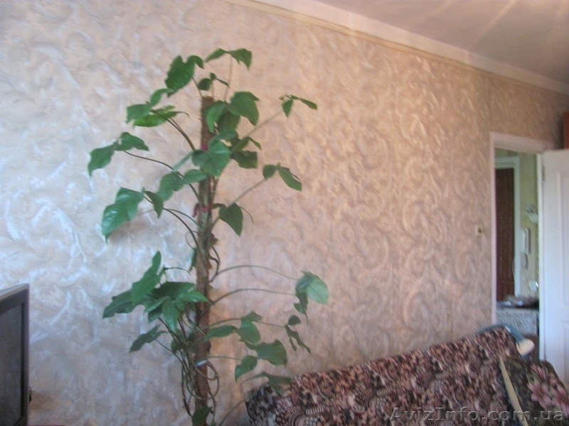 Продам 1-но комнатную квартиру, ул.Средняя/Косвенная. - <ro>Изображение</ro><ru>Изображение</ru> #6, <ru>Объявление</ru> #646709