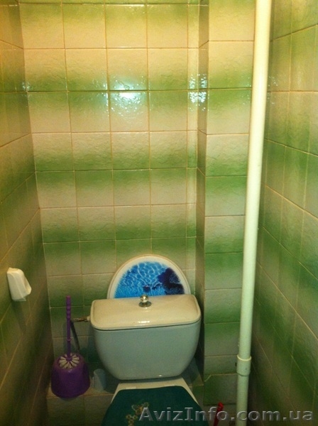 Продам 1-комнатная квартиру, ул. Ак.Вильямса/Королева - <ro>Изображение</ro><ru>Изображение</ru> #6, <ru>Объявление</ru> #658317