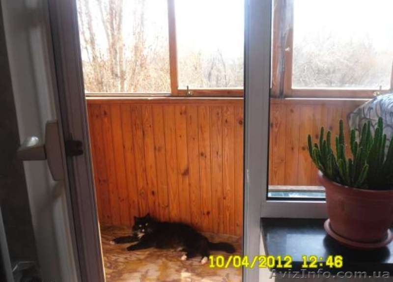 Продам 2 ком.  квартиру, ул.Архитекторская/Ильфа и Петрова. - <ro>Изображение</ro><ru>Изображение</ru> #7, <ru>Объявление</ru> #622850