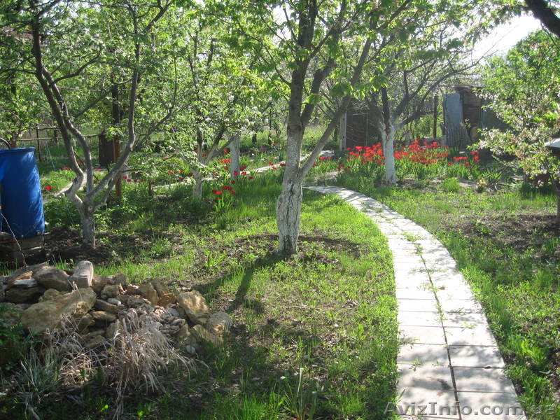 Дача, калиновка - <ro>Изображение</ro><ru>Изображение</ru> #6, <ru>Объявление</ru> #645985