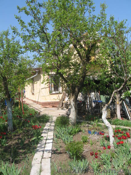 Дача, калиновка - <ro>Изображение</ro><ru>Изображение</ru> #3, <ru>Объявление</ru> #645985