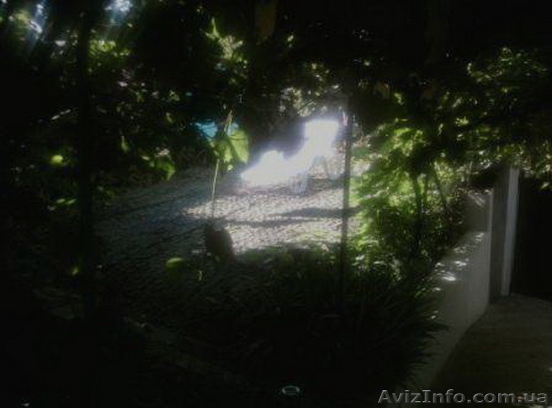 Продам дом  в пер. Бабушкина/дача Ковалевского - <ro>Изображение</ro><ru>Изображение</ru> #9, <ru>Объявление</ru> #697140