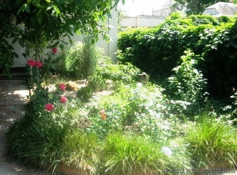 Продам дом  в пер. Бабушкина/дача Ковалевского - <ro>Изображение</ro><ru>Изображение</ru> #10, <ru>Объявление</ru> #697140