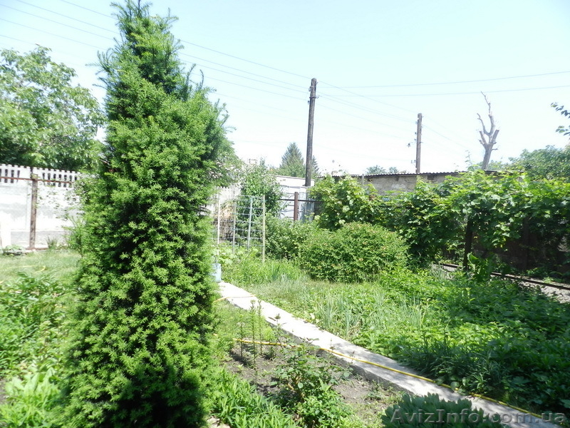 Продам дом на Таирова 160 тыс.у.е. !!! - <ro>Изображение</ro><ru>Изображение</ru> #5, <ru>Объявление</ru> #696649